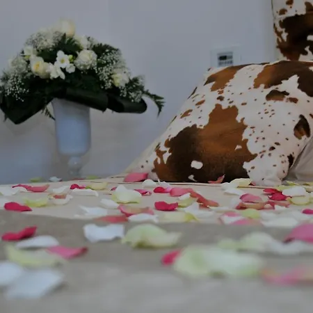 德尔肯堤酒店 酒店 丰迪